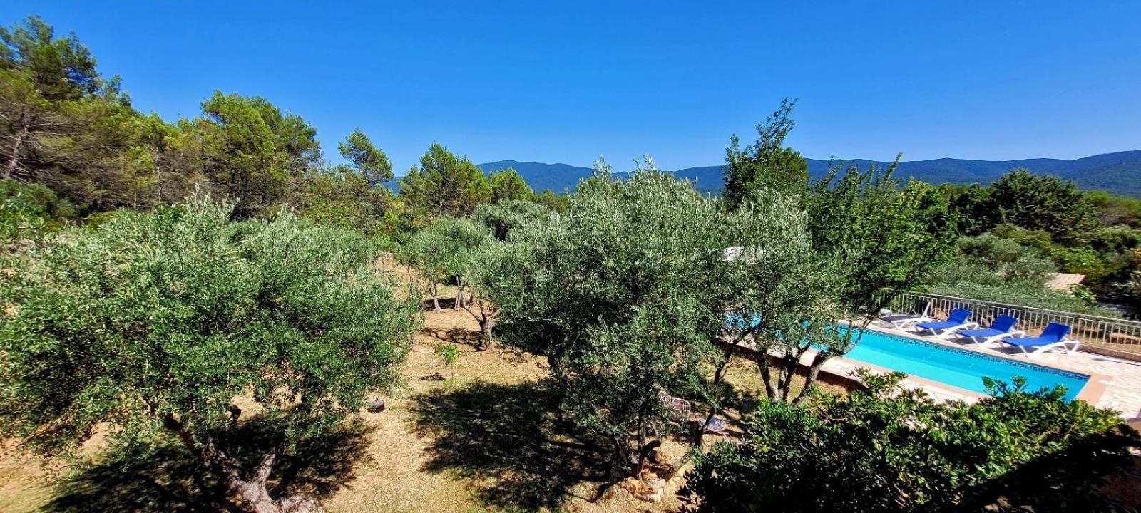Au Petit Bonheur Villa Carnoules  Екстериор снимка
