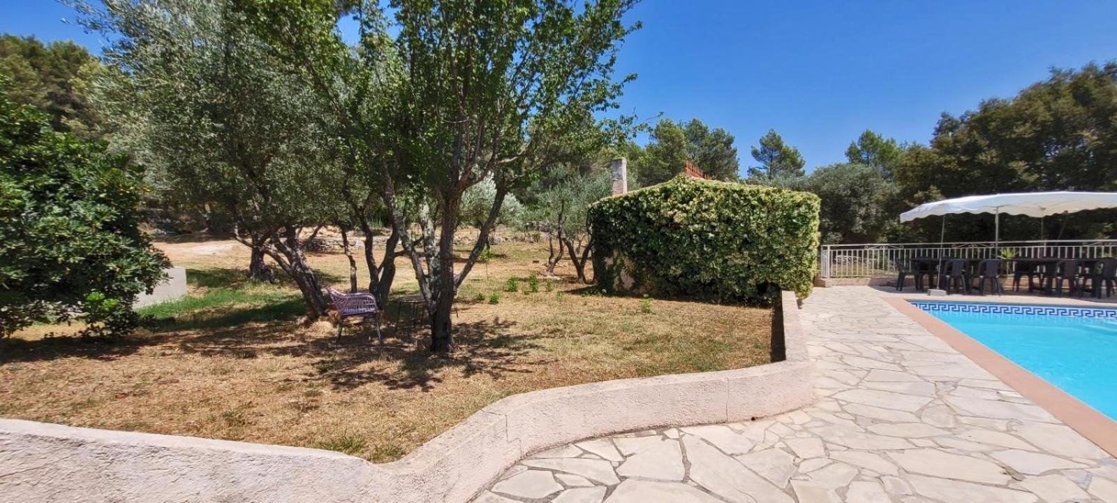 Au Petit Bonheur Villa Carnoules  Екстериор снимка